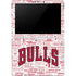 NBA Chicago Bulls Historic Blast Surface Go Skin