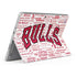 NBA Chicago Bulls Historic Blast Surface Go Skin