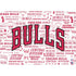 NBA Chicago Bulls Historic Blast Surface Laptop Studio Skin