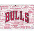 NBA Chicago Bulls Historic Blast Surface Pro 8 Skin