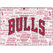 NBA Chicago Bulls Historic Blast Surface Pro 9 Skin