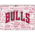 NBA Chicago Bulls Historic Blast Surface Pro 9 Skin