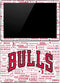 NBA Chicago Bulls Historic Blast Surface Pro (2017) Skin