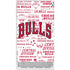 NBA Chicago Bulls Historic Blast Xbox Series S Skins
