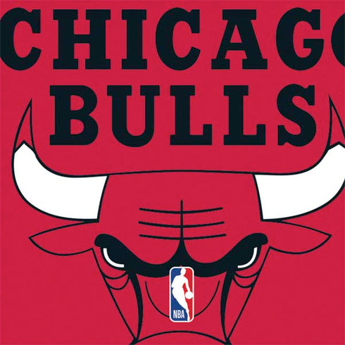 NBA Chicago Bulls Large Logo Nintendo 2DS XL (2017) Skin
