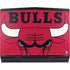 NBA Chicago Bulls Large Logo Dell Alienware Skin