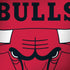 NBA Chicago Bulls Large Logo Dell Alienware Skin