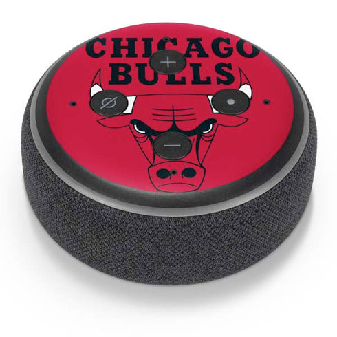 NBA Chicago Bulls Large Logo Amazon Echo Dot Skin