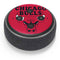NBA Chicago Bulls Large Logo Amazon Echo Dot Skin