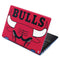 NBA Chicago Bulls Large Logo Aspire R11 11.6in Skin