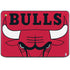 NBA Chicago Bulls Large Logo HP Chromebook Skin
