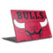 NBA Chicago Bulls Large Logo HP Envy Skin