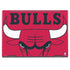 NBA Chicago Bulls Large Logo HP Envy Skin