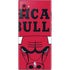 NBA Chicago Bulls Large Logo Galaxy Note 10 Plus Skin