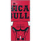 NBA Chicago Bulls Large Logo Galaxy Note 10 Skin
