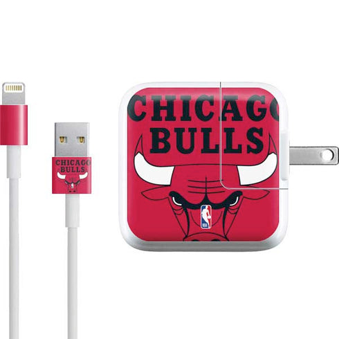 NBA Chicago Bulls Large Logo iPad Charger (10W USB) Skin