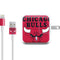 NBA Chicago Bulls Large Logo iPad Charger (10W USB) Skin