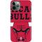 NBA Chicago Bulls Large Logo iPhone 11 Pro Lite Case