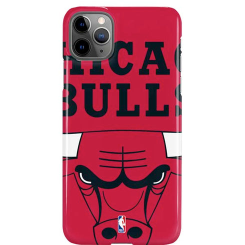NBA Chicago Bulls Large Logo iPhone 11 Pro Max Lite Case