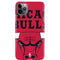NBA Chicago Bulls Large Logo iPhone 11 Pro Max Lite Case