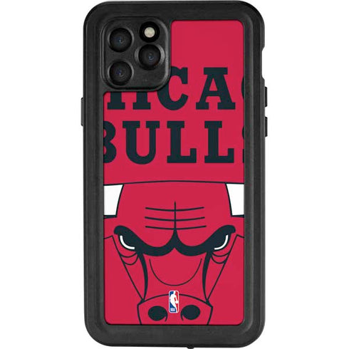 NBA Chicago Bulls Large Logo iPhone 11 Pro Waterproof Case