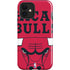NBA Chicago Bulls Large Logo iPhone 12 Impact Case