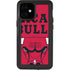 NBA Chicago Bulls Large Logo iPhone 12 Mini Waterproof Case