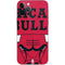 NBA Chicago Bulls Large Logo iPhone 12 Pro Skin