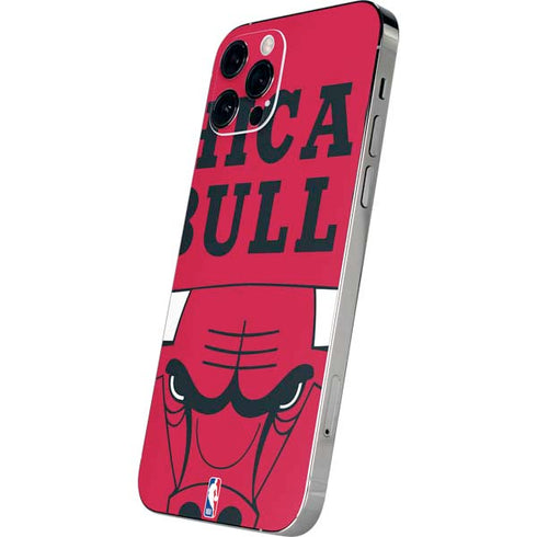 NBA Chicago Bulls Large Logo iPhone 12 Pro Skin