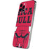 NBA Chicago Bulls Large Logo iPhone 12 Pro Skin