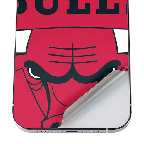 NBA Chicago Bulls Large Logo iPhone 12 Pro Skin