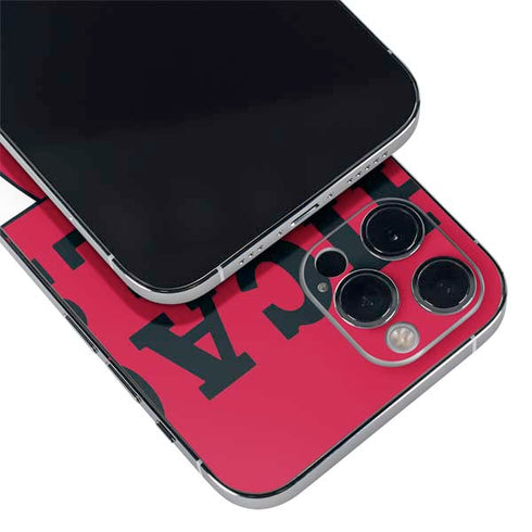 NBA Chicago Bulls Large Logo iPhone 12 Pro Skin