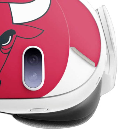 NBA Chicago Bulls Large Logo Meta Quest 3 Skin