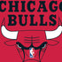 NBA Chicago Bulls Large Logo Moto E5 Play Skin