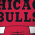 NBA Chicago Bulls Large Logo Moto G6 Skin