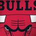 NBA Chicago Bulls Large Logo Notebook 9 Pro 13in (2017) Skin