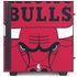 NBA Chicago Bulls Large Logo NZXT H510 Compact ATX Mid-Tower Case Skin