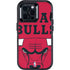 NBA Chicago Bulls Large Logo Otterbox Defender iPhone Skin