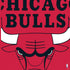 NBA Chicago Bulls Large Logo PS4 Slim Skin