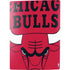 NBA Chicago Bulls Large Logo PS5 Bundle Skin