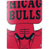 NBA Chicago Bulls Large Logo PS5 Digital Edition Bundle Skin