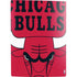 NBA Chicago Bulls Large Logo PS5 Digital Edition Bundle Skin