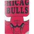 NBA Chicago Bulls Large Logo PS5 Digital Edition Console Skin