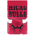 NBA Chicago Bulls Large Logo PS5 Slim Disk Bundle Skin
