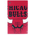 NBA Chicago Bulls Large Logo PS5 Slim Digital Edition Console Skin