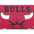 NBA Chicago Bulls Large Logo HP Spectre Skin
