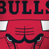 NBA Chicago Bulls Large Logo HP Spectre Skin