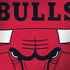 NBA Chicago Bulls Large Logo Surface Book 2 13.5in Skin