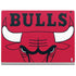 NBA Chicago Bulls Large Logo Surface Book 2 15in Skin