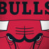 NBA Chicago Bulls Large Logo Surface Book 2 15in Skin